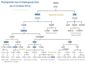 Культурогония и культургия Гаплогруппы современных Европейцев после индоевропейской экспансии и Великого переселения народов